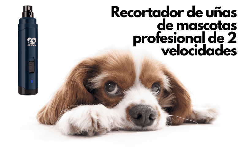 En este momento estás viendo 5 Razones Poderosas para Elegir el Cortador de Uñas Casfuy: ¡La Solución Sin Dolor para tu Mascota!