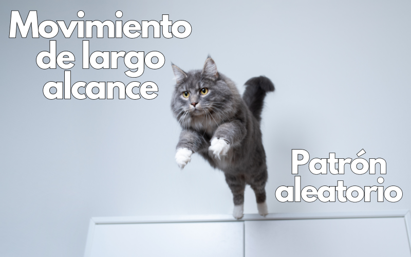 imagen de un gato saltando por el juguete interactivo laser para gatos